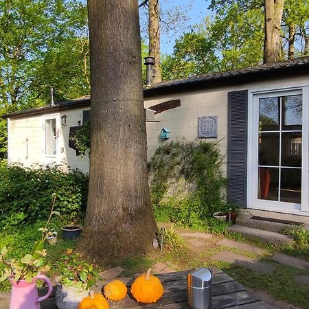 Boshuisje Wageningen Dış mekan fotoğraf